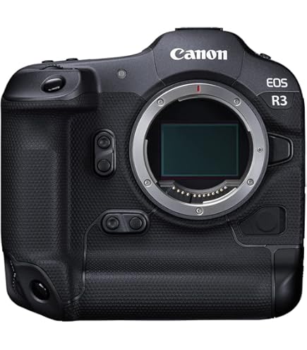 Amazon.com : Canon EOS-1D X Mark III Body (Renewed) : Electronics